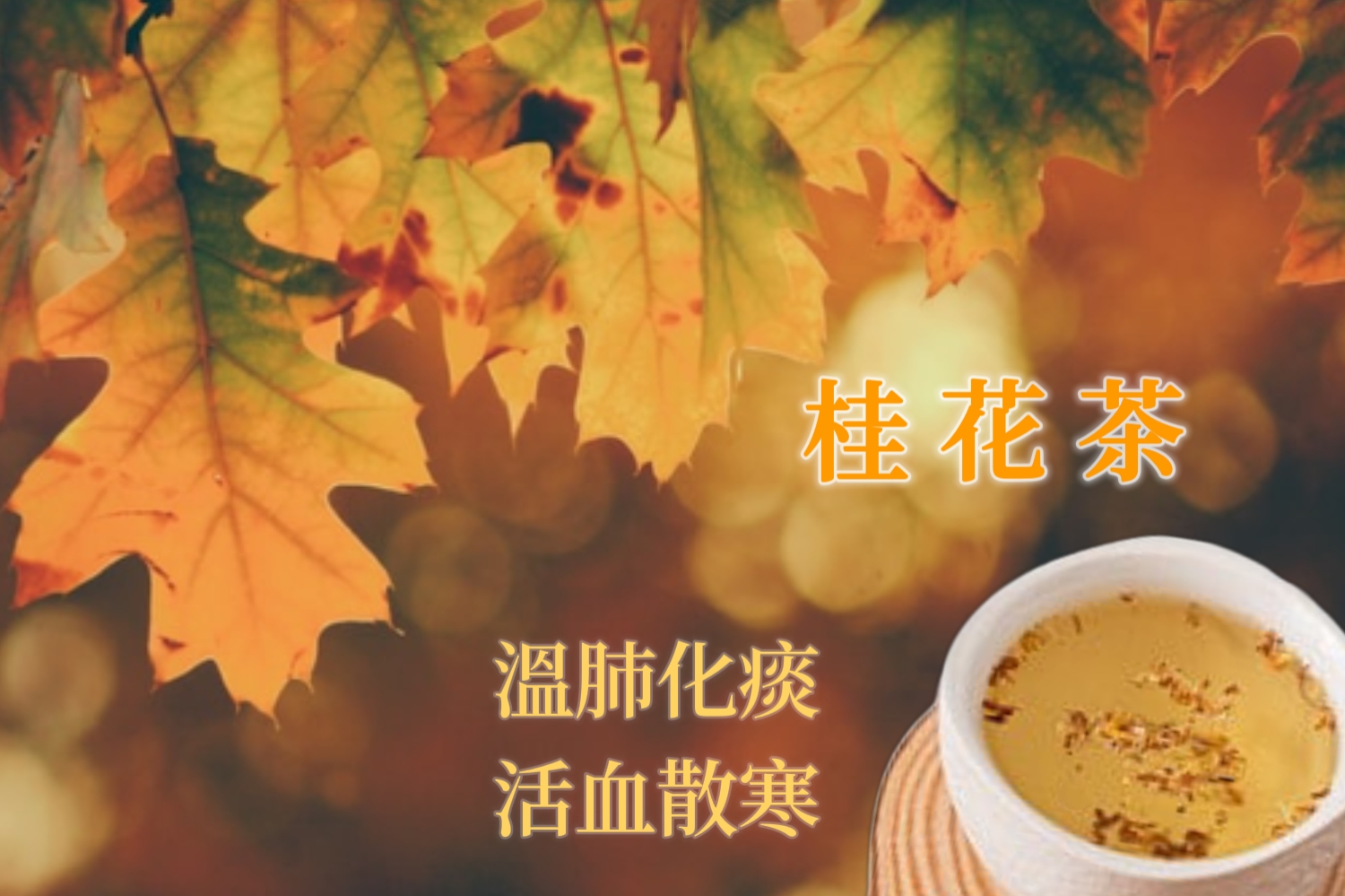 poster-2022-09-24-014630-mh1663957696975.jpg
